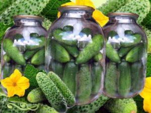 A step-by-step recipe for cooking cucumbers with a candle for the winter