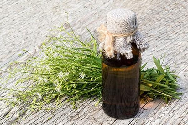 Infusion of woodlice herb