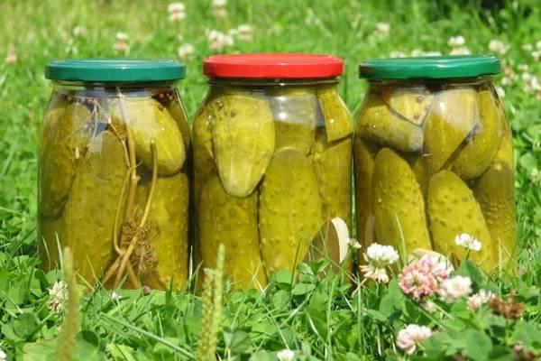 Sugar-free pickled cucumbers