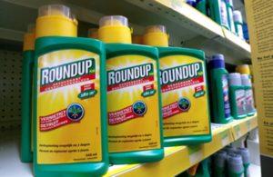 Instructies voor het gebruik van een continu werkende herbicide Roundup tegen onkruid en hoe correct te kweken