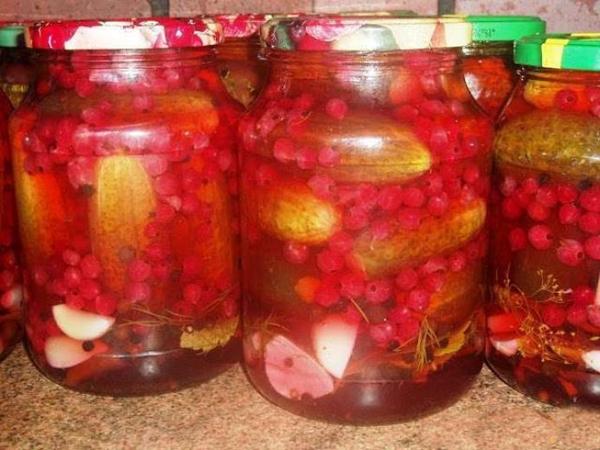 Pickled cucumbers with currant berries