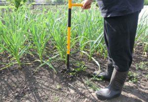 Variétés d'outils de jardin pour éliminer les mauvaises herbes et comment fabriquer des outils de bricolage