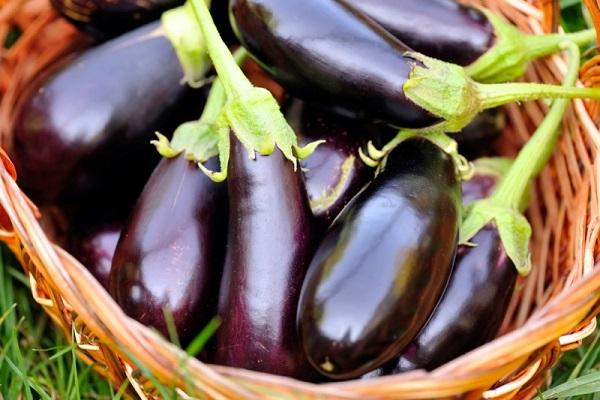 aubergine dans un panier