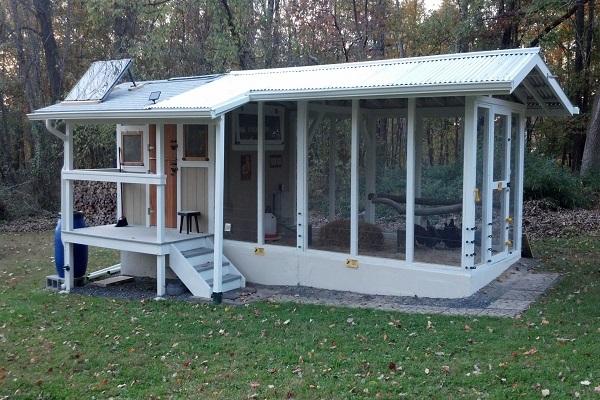 chicken coop in the yard