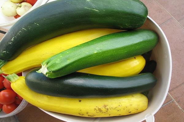 un bouquet de courgettes