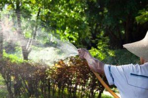 Description des 24 meilleurs fongicides pour le jardin, mécanisme d'action et mode d'emploi