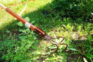 How to effectively control weeds, a description of the best drugs and folk remedies