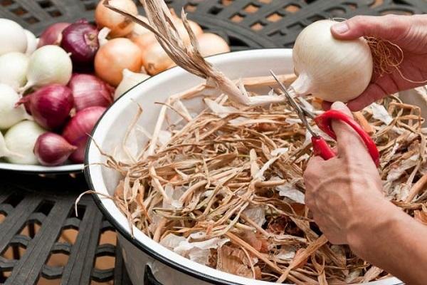 4 best ways to properly dry onions at home for the winter