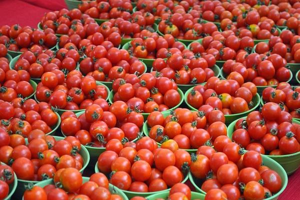 buckets with tomatoes