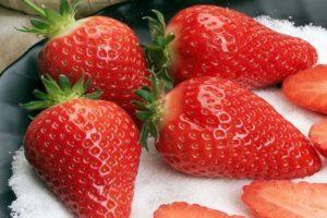 Description of Gariguetta strawberries, planting and care rules