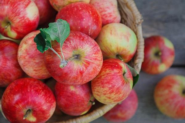 fruits rouges