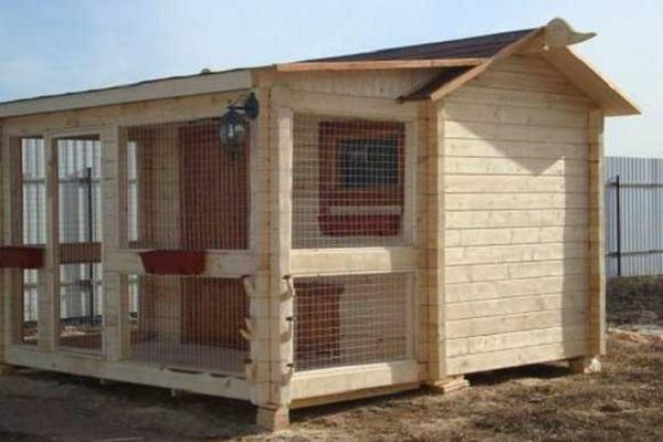 chicken coop with yard