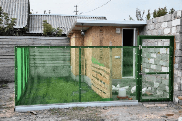 yard poultry house