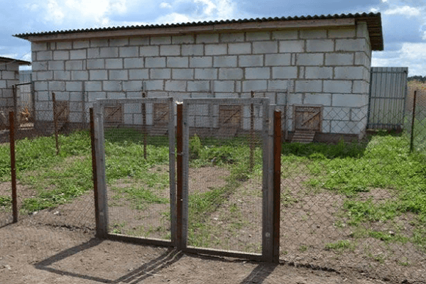 patio para caminar