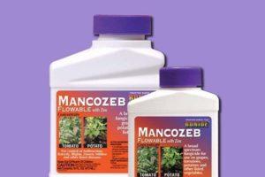 Instructions for the use of fungicide Mancozeb, composition and action of the drug