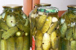 TOP 3 recipes for pickled cucumbers with coriander for the winter