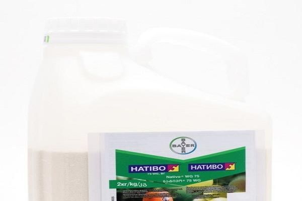 fungicide Nativo