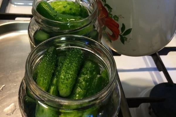 canning cucumbers