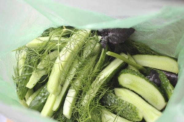 shaker cucumbers