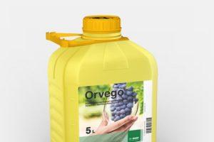 Instructions pour l'utilisation du fongicide Orvego, description du produit et analogues