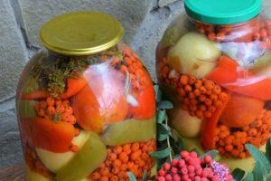 TOP 2 recipes for pickling tomatoes with black and red mountain ash for the winter