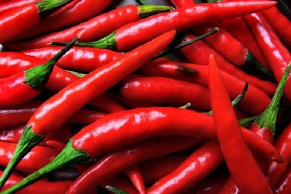 pimiento rojo