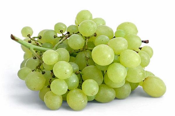 Uvas Ayren