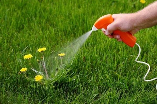 détruire les mauvaises herbes