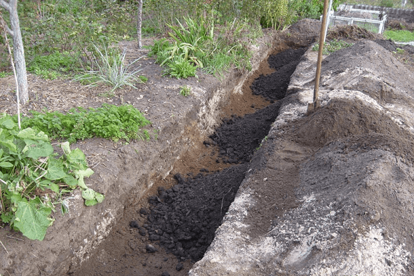 pit preparation