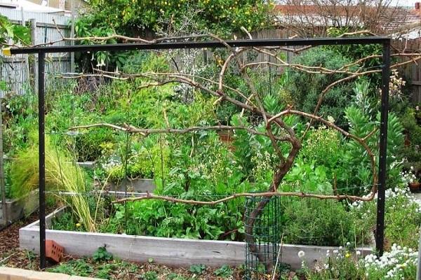 apoyo en el jardín