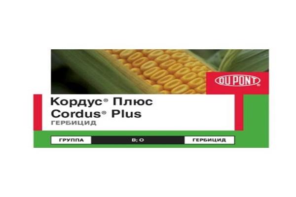 herbicida cordus plus