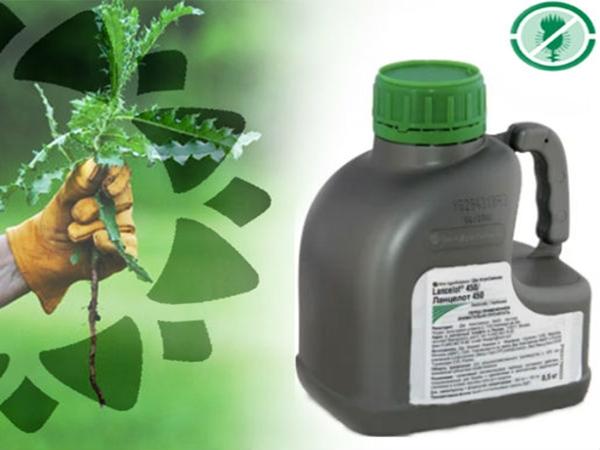 lancelot 450 herbicide