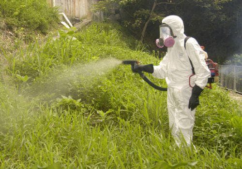 traje de horticultura