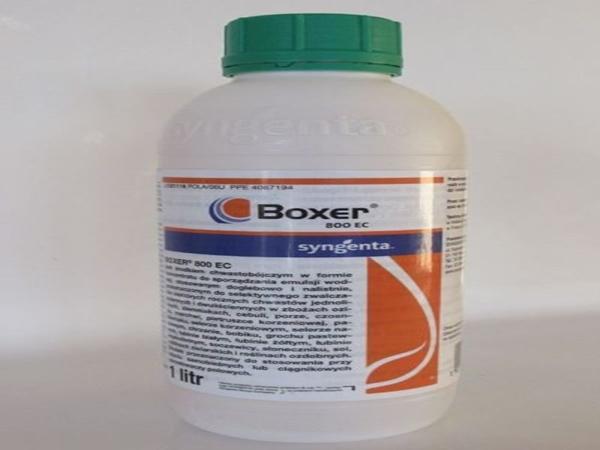 herbicide boxer