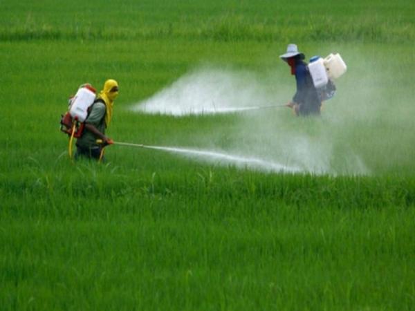 herbicide bomb