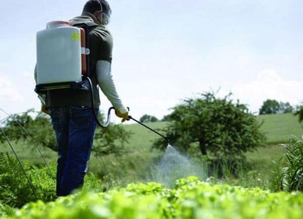 herbicide de cuisine