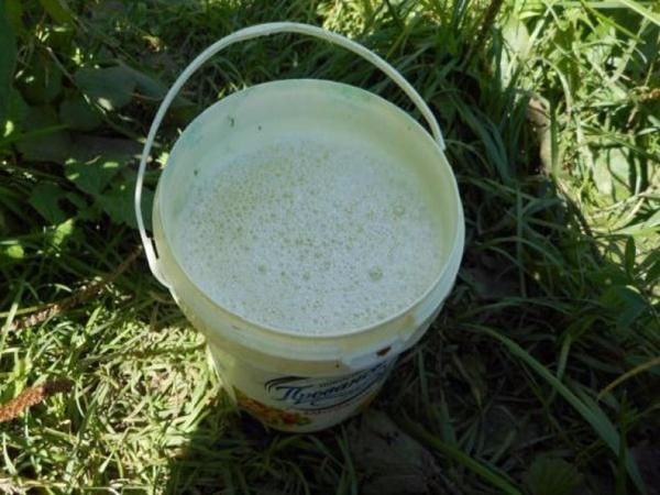 Solution herbicide stellaire