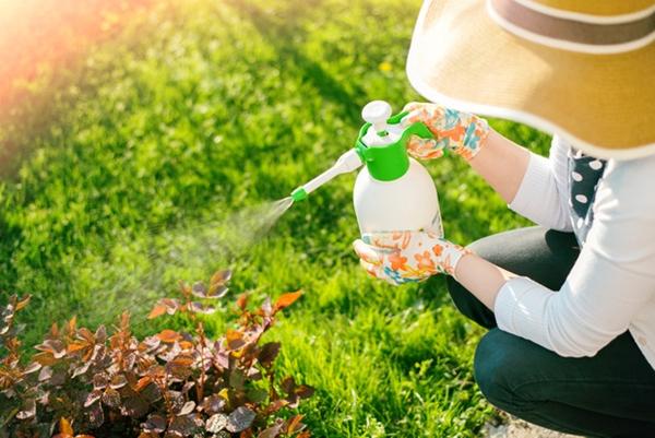 herbicide de lémurien