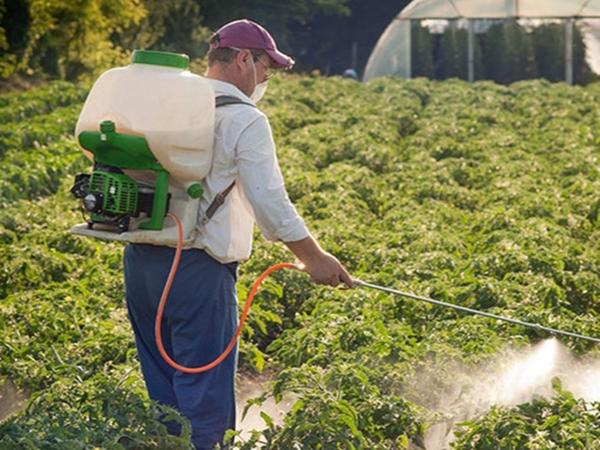 herbicide au glyphosate