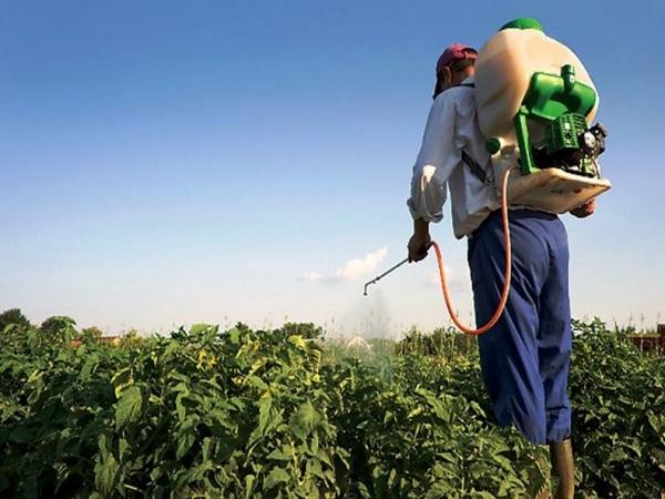 herbicide boxer