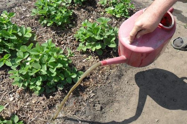 appliquer un herbicide