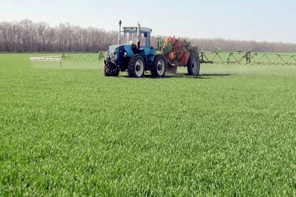 equipo en el campo