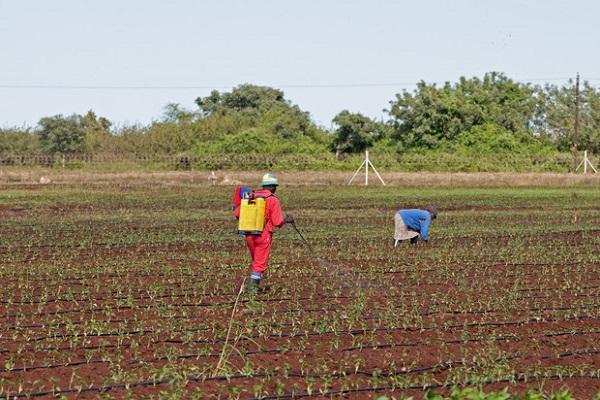 people at work