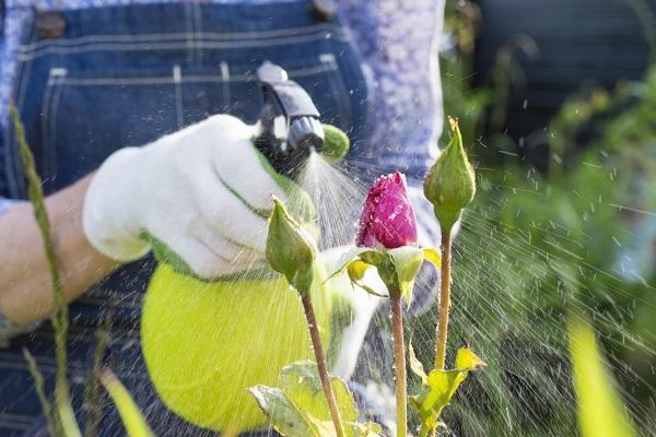 vaporiser une fleur