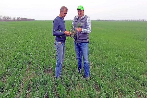 hombres en el campo