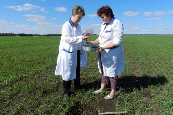 femmes du laboratoire