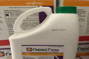 Instructions pour l'utilisation de l'herbicide Gardo Gold, taux de consommation et comment préparer une solution de travail