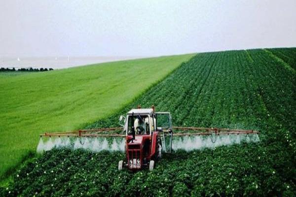 consumo para plantas