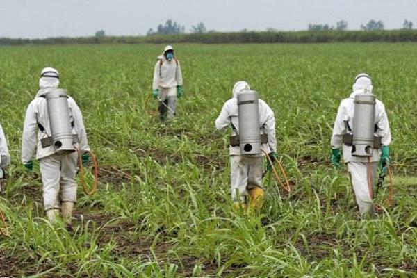 Hombres trabajando