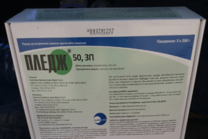 Instrucciones de uso del herbicida Pledge, mecanismo de acción y tasas de consumo